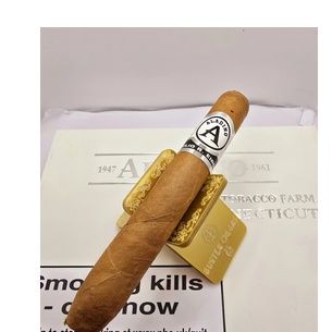 Aladino Connecticut Queens Perfecto